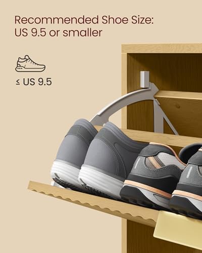 VASAGLE Shoe Storage Cabinet with 2 Flip Drawers, Narrow, Fits 12-16 Pairs