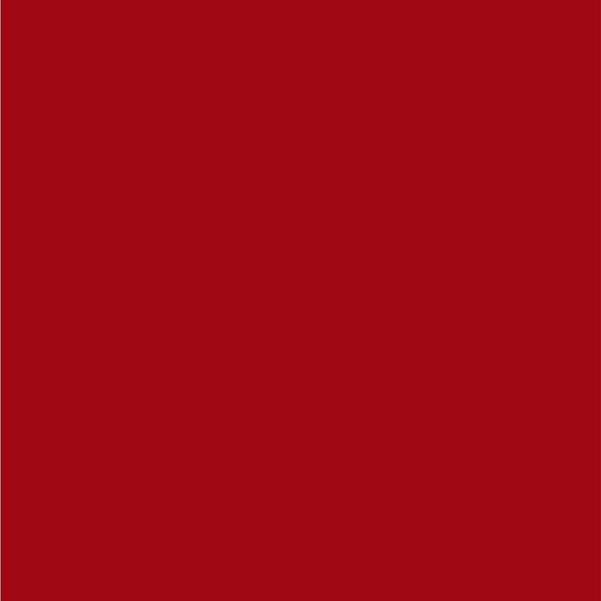 Dupli-Color EBFM03067 Perfect Match Automotive Spray, Ford Cardinal Red, 21/EP/SQ/E4/EA – 8 oz. Aerosol Can