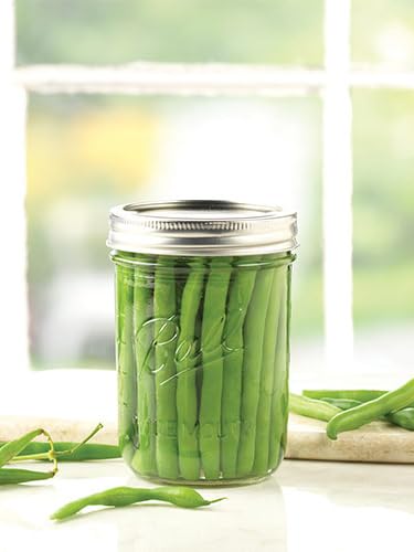 Ball Wide Mouth Glass Mason Jars