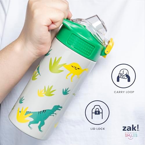 Zak Designs Marvel Spider-Man Sage 19oz Leak-Proof Straw Kids Water Bottle