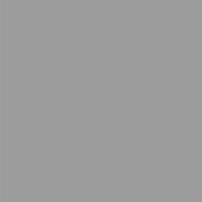 Dupli-Color Perfect Match Premium Automotive Paint, SIlver (M), 8 oz