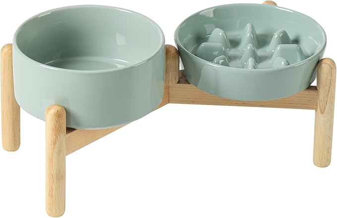 Ceramic 0.9 Cup Raised Slow Feeder Dog Bowl Set, Elevated 6.1inch Slow Dish and