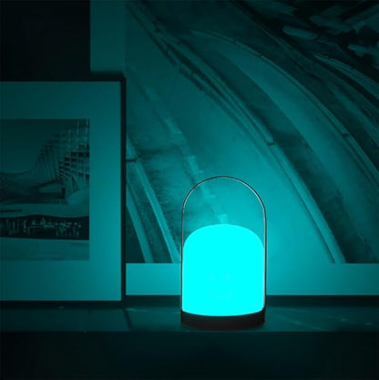 Mr.Go Portable LED Lantern Table Lamp | Cordless & USB Rechargeable | Remote Control & Dimmable | 16 RGB Colors & Kids Bedroom Outdoor Camping Light | Metal Handle (Black)