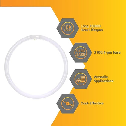 Diodesy- 16 Inch T9 Round Circline Fluorescent Light Bulb 40W 2600 Lumens 4100K Cool White G10Q 4-Pin Base Rohs Compliant Pack of 2- Replacement Fluorescent Circular Tube Lamp for Ceiling Lights