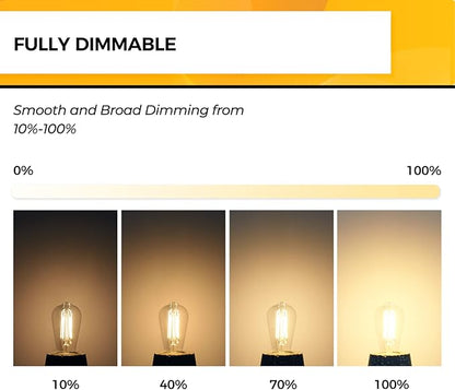 Hizashi Vintage Edison Bulb Dimmable, 6W Equivalent 60W, E26 Base LED Light Bulb