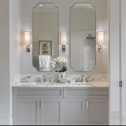 ANDY STAR 18" x 48" Full Length Wall Mirror, Large Brushed Nickel Bathroom