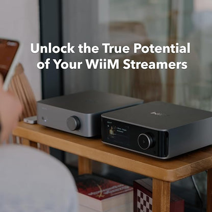 WiiM Vibelink Amp | 100W Power Amplifier