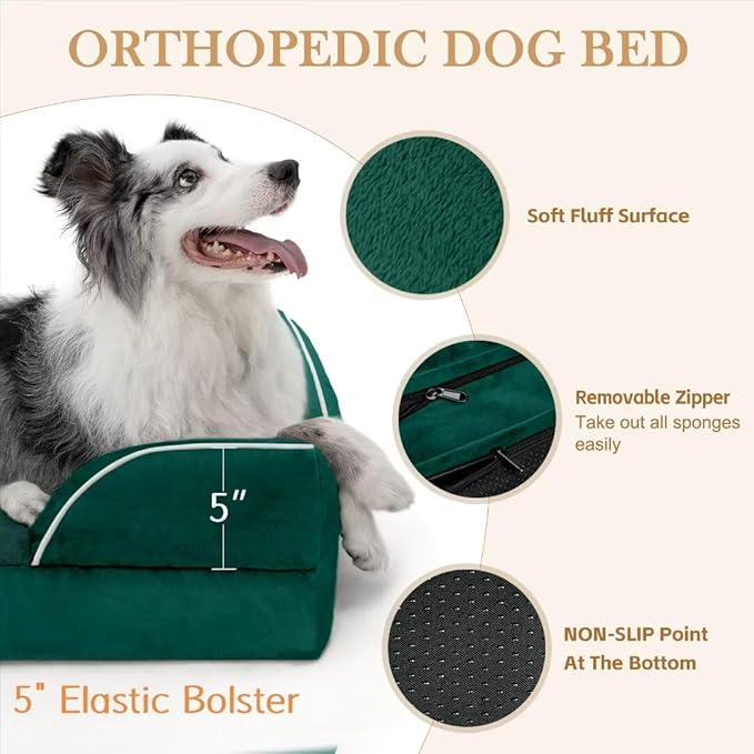 Comfort Expression Orthopedic Dog Bed