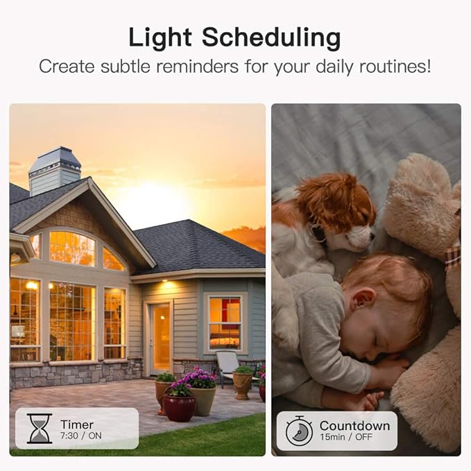 TREATLIFE Smart Light Switch Single Pole Works
