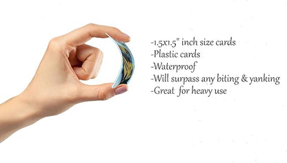 Smile4Autism Loose Visual Picture Cards, Receptive and Expressive Language