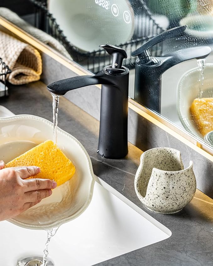 Zoeeker Sponge Holder for Kitchen Sink, Ceramic Dish Sponge Dish Rack Scrubby