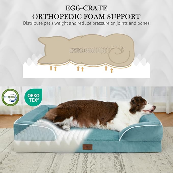 Comfort Expression Orthopedic Dog Bed