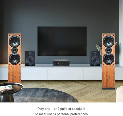 SENWIKATIN 2-Way Speaker Selector, Passive 2 Zone Distribution Box 150W /