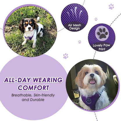 Lukovee Dog Car Harness Seat Belt, Adjustable Mesh Breathable Vest with Elastic Bungee Tether, Soft Padded 2-in-1 Safety Car Harness Seatbelt for Small Medium Large Dogs (Purple,L)