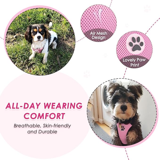 Lukovee Dog Car Harness Seat Belt, Adjustable Mesh Breathable Vest with Elastic Bungee Tether, Soft Padded 2-in-1 Safety Car Harness Seatbelt for Small Medium Large Dogs (A-Pink,XXXS)
