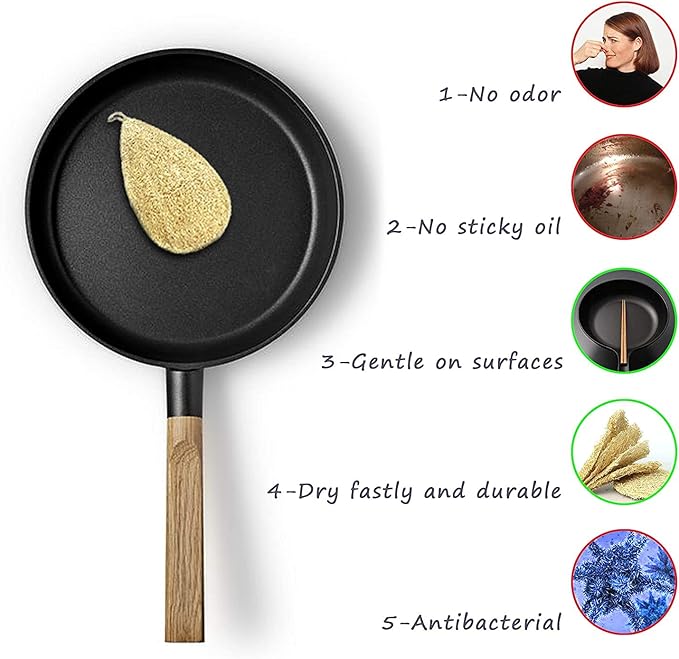 Natural Loofah Dish Sponge