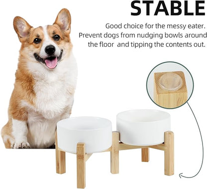 Ceramic Raised Double Bowls Set