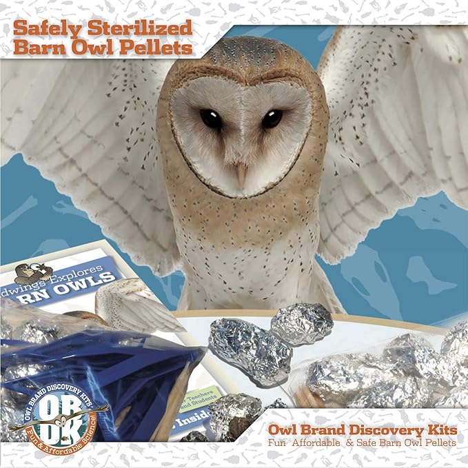 OBDK Barn Owl Pellets for Dissection - 20 Pack Medium Sized (1.5"-2.0") with Tools, Guide and Charts from Owl Brand Discovery Kits
