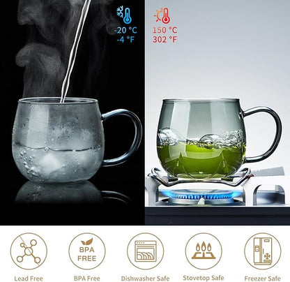 17 OZ Glass Tea Cup with Infuser and Lid, 500 ML Large Borosilicate Teacup