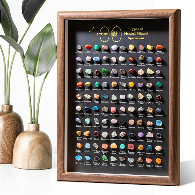 ACODE Natural Mineral Specimen Shadow Box, Geology Collection Case Decoration, Home Decor Wall Art Tabletop Display with Real Rocks Crystals, Gift for Birthday Christmas Housewarming Children's Day