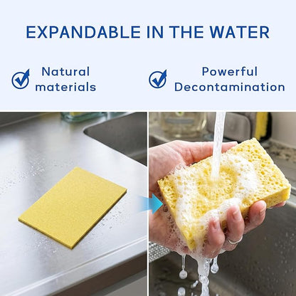 ARCLIBER Cellulose Sponges, Heavy Duty Scrub Kitchen Sponge No Scratching