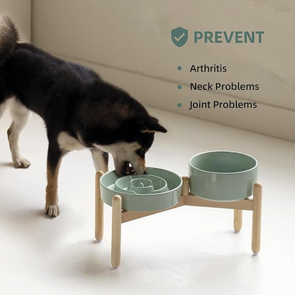 Ceramic Raised Slow Feeder Dog Bowl Set, Elevated 7.3inch Bowl and 8.2inch