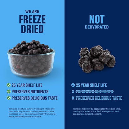 Freeze-Dried Strawberries ??Premium Sliced | #10 Can | 25-Year Shelf Life | Emergency Food & Clean Snacking (Blueberries)