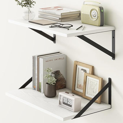 Fun Memories 20 Inch Floating Shelves