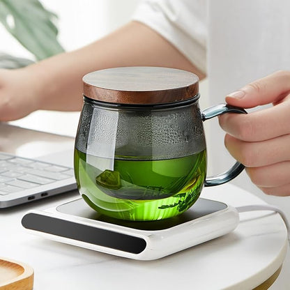 17 OZ Glass Tea Cup with Infuser and Lid, 500 ML Large Borosilicate Teacup