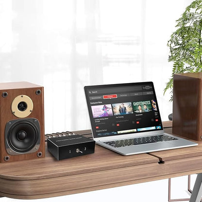 2-Way Audio Switcher Can Support Two Amplifiers, One Audio or One Amplifier