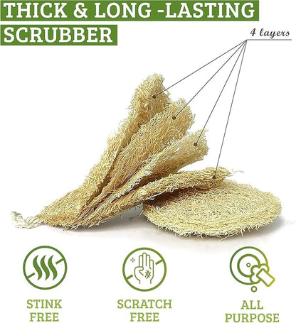 Natural Loofah Dish Sponge