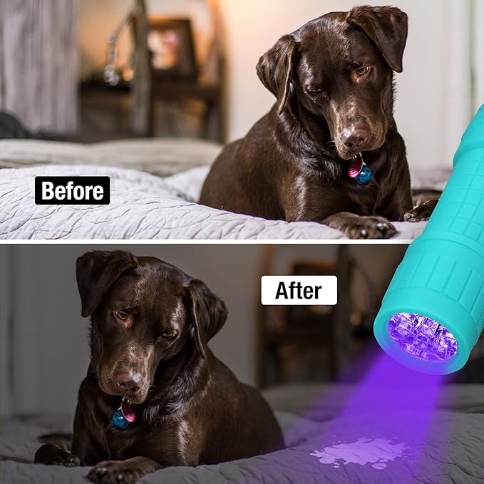 EverBrite Black Light Flashlight 6 Pack, UV Mini Flashlight, 9-Led 395nm Detector for Pet Urine, Stains, Scorpions, 18 AAA Batteries Included