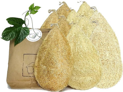 Natural Loofah Dish Sponge