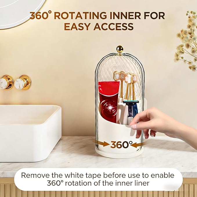 3 Slots Toothbrush Holders