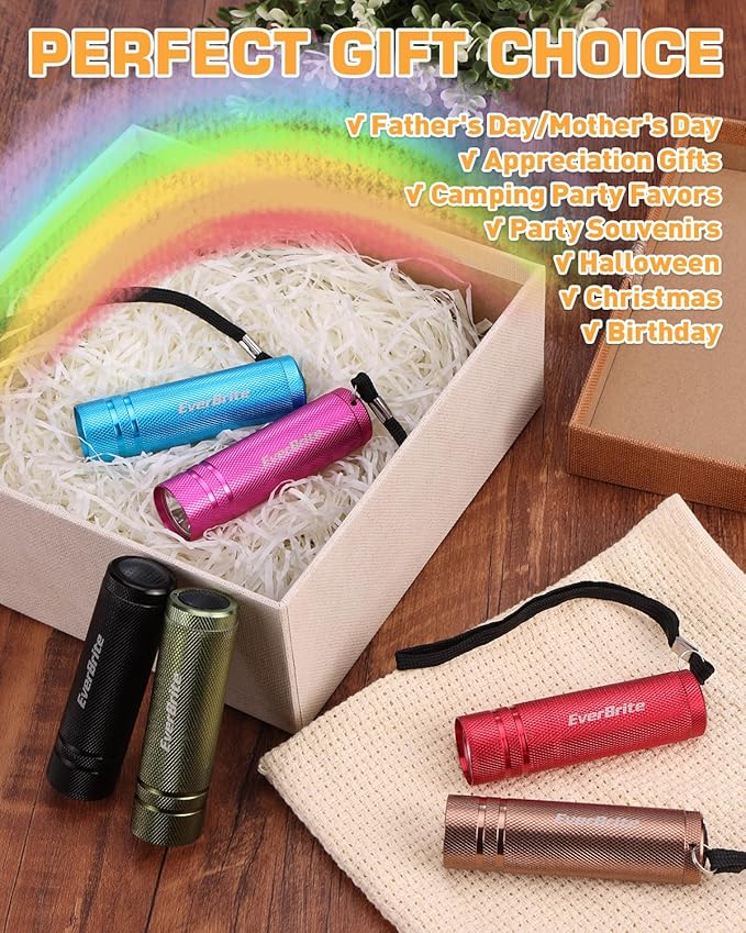 EverBrite 6-Pack Mini Flashlight Set, Aluminum LED Handheld Torches with Lanyard, Assorted Colors, Batteries Included for Party Favors, Night Reading, Camping, Power Outage, Gift to Christmas
