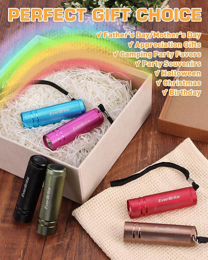EverBrite 6-Pack Mini Flashlight Set, Aluminum LED Handheld Torches with Lanyard, Assorted Colors, Batteries Included for Party Favors, Night Reading, Camping, Power Outage, Gift to Christmas