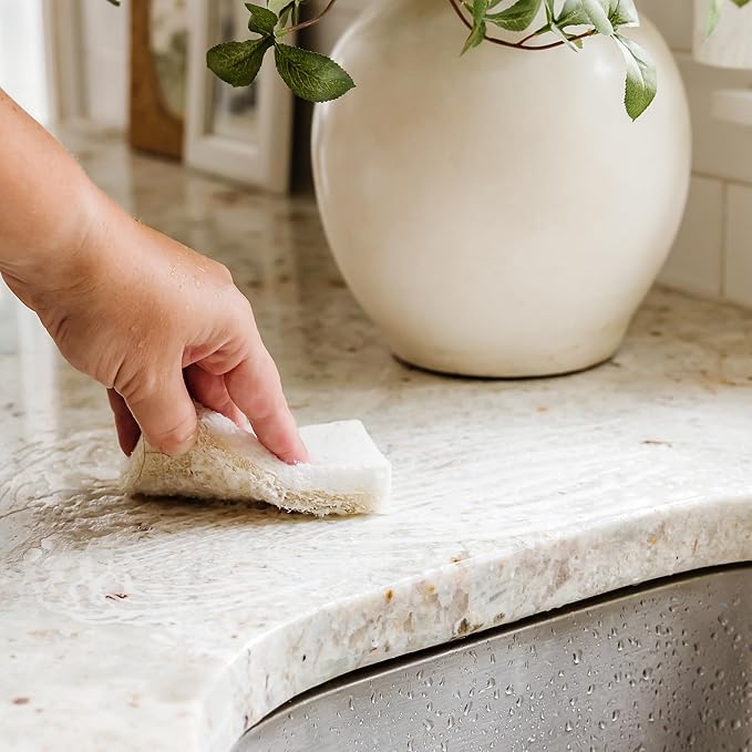 Full Circle Nutcase, Plant-Based Scrubber Sponges – Pack of 6 – 3 Walnut & 3