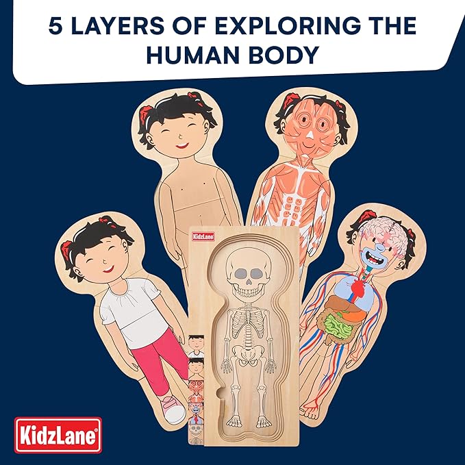 Kidzlane Wooden My Body Puzzle for Toddler - 5-Layer Girl Anatomy Puzzle - Real Wood - Multicolor - Educational Human Body Toy for Kids - BPA Free - Educational Toys