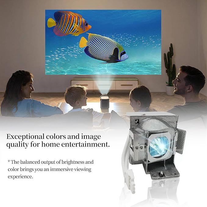 SORNEICDR RLC-085 RLC-078 Replacement Projector Lamp Bulb Compatible