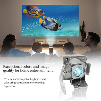 SORNEICDR RLC-085 RLC-078 Replacement Projector Lamp Bulb Compatible