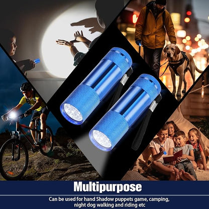 VIHOSE 12 Pcs Mini Flashlights Bulk, Bright Aluminum Handheld Flash Lights with Lanyard, Small LED Flashlights for Kids Night Reading Emergency Hurricane Camping Hiking Party Favors(Blue)