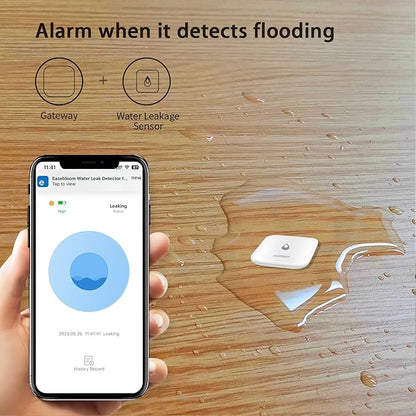 Easebloom Water Leak Detector for Home