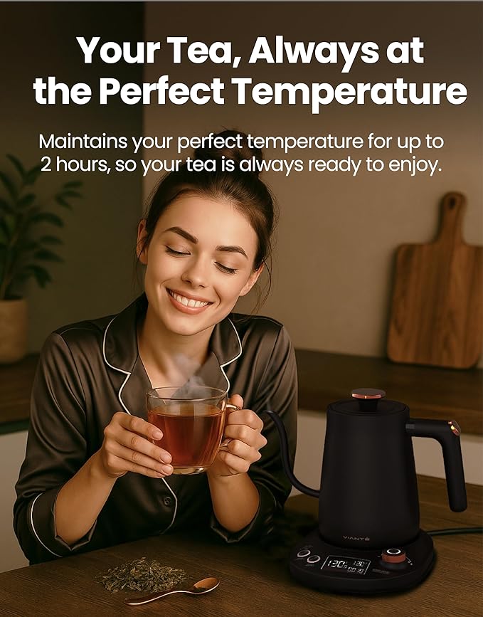 Vianté Electric Gooseneck Kettle
