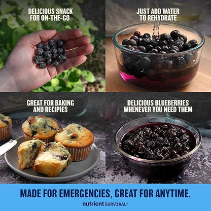 Freeze-Dried Strawberries ??Premium Sliced | #10 Can | 25-Year Shelf Life | Emergency Food & Clean Snacking (Blueberries)