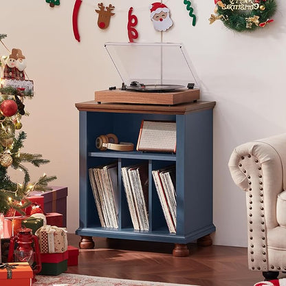 Joaxswe Record Player Stand