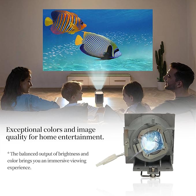 SORNEICDR RLC-108 Replacement Projector Lamp Bulb Compatible