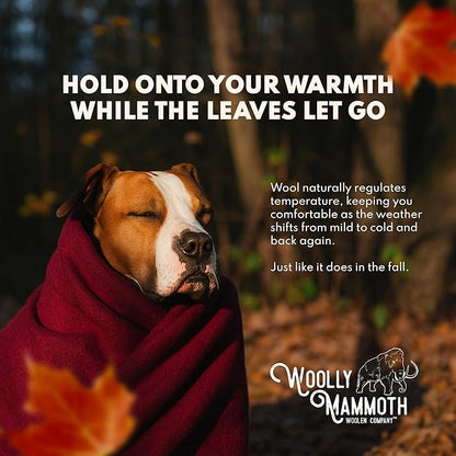 Woolly Mammoth Woolen Company Camping Blanket - 66 x 90 in, Red/White & Blue Plaid - Merino Heavyweight Wool Outdoor Throw Blanket - Backpacking Essential for Cold Weather Camping