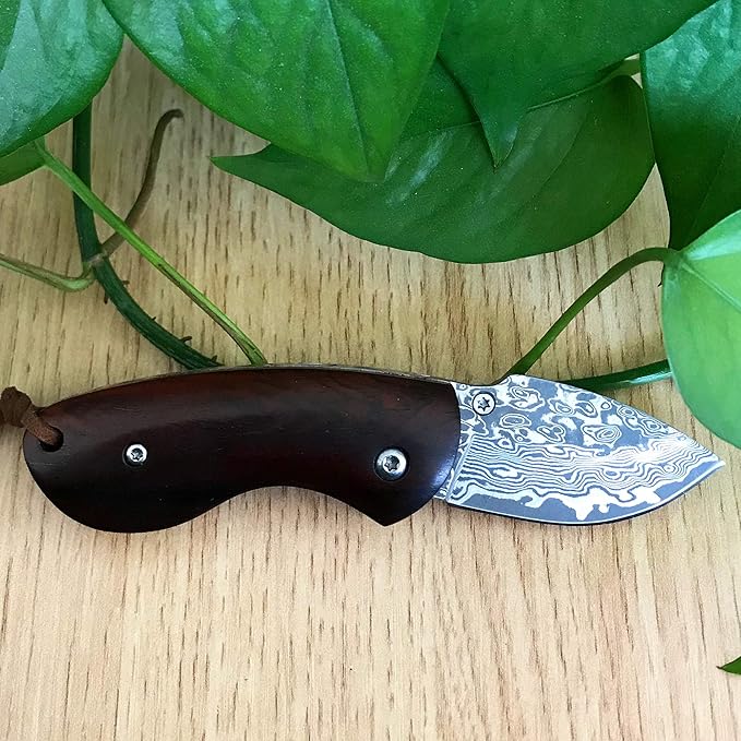 ALBATROSS Mini Pocket Knife - 4.75" Modern Damascus Steel Folding Knife with Red Sandalwood Handle - 71 Layer Hand Forged Blade - Liner Lock System - Luxury Gift Box - HGDK013