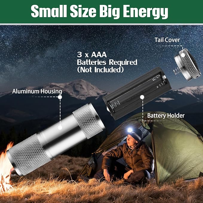 VIHOSE 20 Pcs Mini Flashlights Bulk, Bright Aluminum Handheld Flash Light with Lanyard Small LED Flashlights for Night Reading Emergency Hurricane Camping Hiking, Batteries Not Included(Gray)