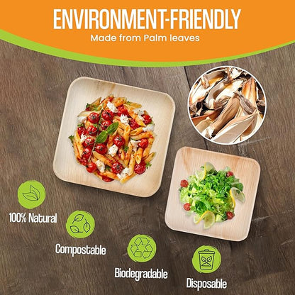Raj Palm Leaf Plates Bulk [50-Pack] 10" & 7" Square Plates (3 CASES - 150 PACK) like Bamboo plates Disposable, Strong, Decorative Compostable Tableware for weddings, Lunch, Dinners etc